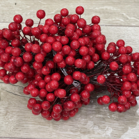 Калина и Вербочки для поделок