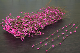 Вербочки на гілочці для виробів № 28/50