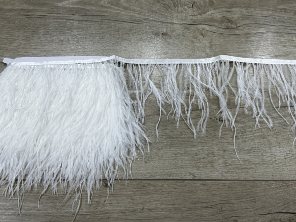 Пір'я на стрічці № 01/13