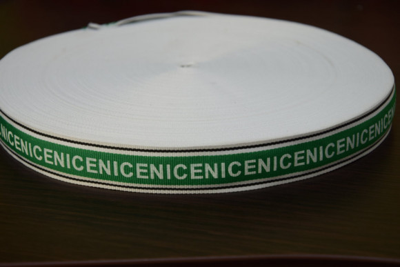 Кіперна стрічка (поліестер) 2.5 см. № Nice/19